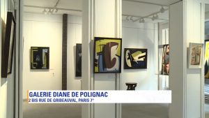 gerard schneider - exposition video 2017
