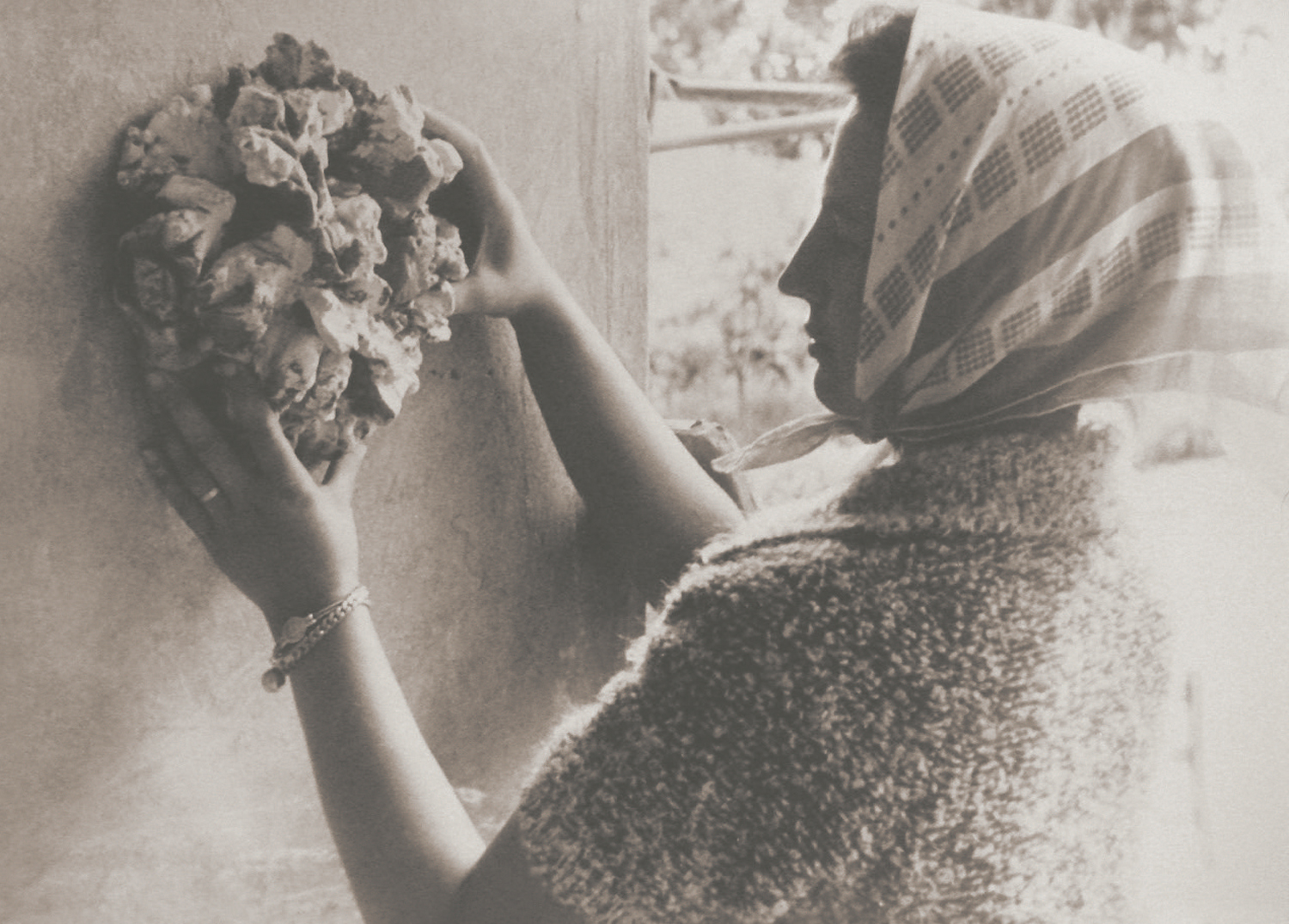 GDDP_CARTON_15x21.indd