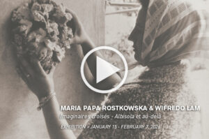 maria papa rostkowska - exhibition video